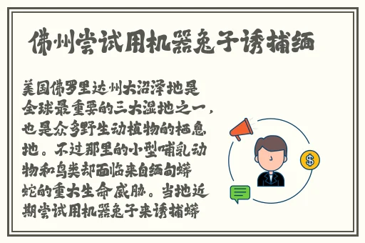 晶晶的极限改造日记一本江山